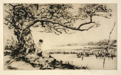 A Summer Day