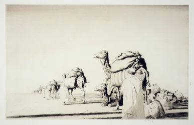 Desert Freight