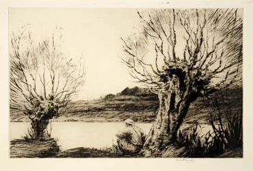 The Willows