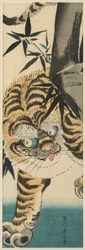 Tiger Emerging from Bamboo