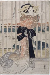 The Courtesan Meizan Of The Chōjiya