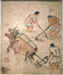 Agricultural Work Scene
