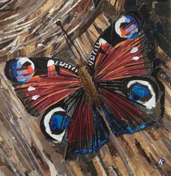 Awaken Peacock Butterfly on Woodpile