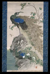 Cherry-Apple And Peacocks On Rock