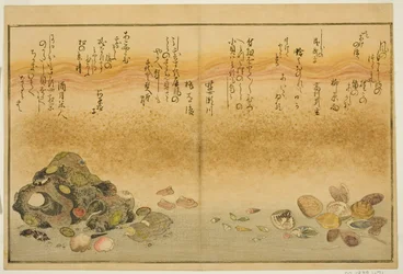 Ashi-gai, hamaguri, ko-gai, suzume-gai, akoya-gai, and katashi-gai, from the illustrated book "Gifts from the Ebb Tide"