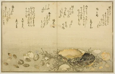 Chidori-gai, itaya-gai, awabi, utsuse-gai, asari-gai, and monoara-gai, from the illustrated book "Gifts from the Ebb Tide"