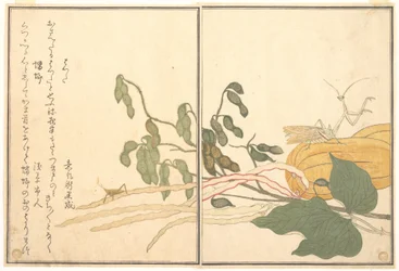 Cone-headed Grasshopper or Locust (batta); Praying Mantis (Tōrō or Kamakiri), from the Picture Book of Crawling Creatures (Ehon mushi erami)