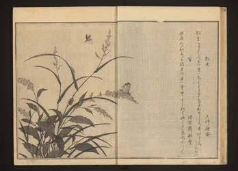 Cricket and Fireflies on Polygonum and Reeds