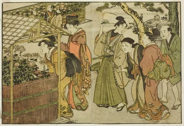 Display of Chrysanthemums, from the illustrated book "Picture Book: Flowers of the Four Seasons," vol. 2