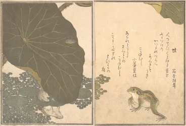 Frog Kaeru, Gold Beetle Kogane mushi