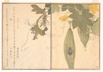 Grasshopper (Kirigirisu); Cicada (Semi), from the Picture Book of Crawling Creatures (Ehon mushi erami)
