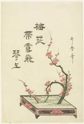 Ikebana arrangement of a plum branch