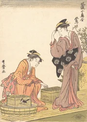 Japanese Bush Warbler, 1754-1806