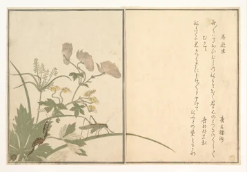 Katydid (Umaoi-mushi); Centipede (Mukade), from the Picture Book of Crawling Creatures (Ehon mushi erami)