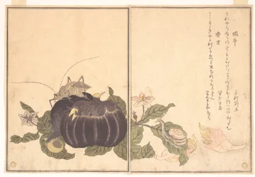 Land Snail (Katatsumuri); Giant Katydid (Kutsuwamushi), from the Picture Book of Crawling Creatures (Ehon mushi erami)