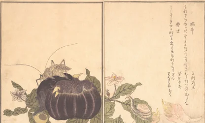Land Snail Katatsumuri, Giant Katydid Kutsuwamushi