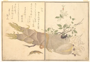 Mole Cricket (Kera); Earwig (Hasami-mushi), from the Picture Book of Crawling Creatures (Ehon mushi erami)