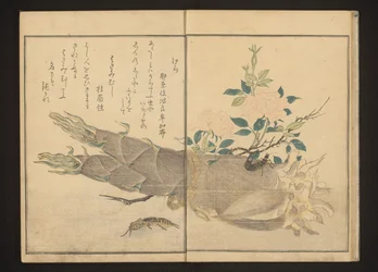 Mole Cricket and Earwig on Bamboo Shoot