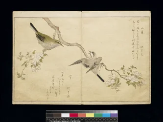 Tit on a Bough on the Right and a Bush-Warbler on a Branch on the Left, from an Album 