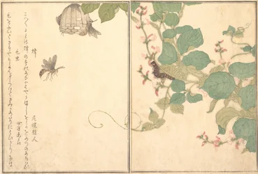 Paper Wasp Hachi, Hairy Caterpillar Kemushi..., 1788