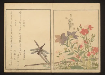 Red Dragonfly and Locust by Pinks