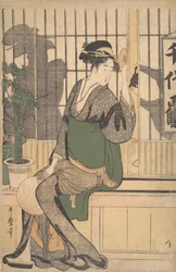 Shadows on the Shoji, 1790s.