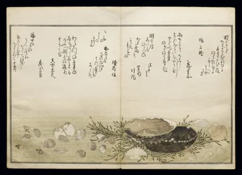 Shiohi no tsuto (Gifts from the Ebb Tide), known as the Shell Book, 1789