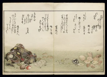 Shiohi no tsuto (Gifts from the Ebb Tide), known as the Shell Book, 1789
