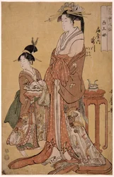 Takigawa of the Ogiya Eight, from the series Immortals in the Art of Love, 1793