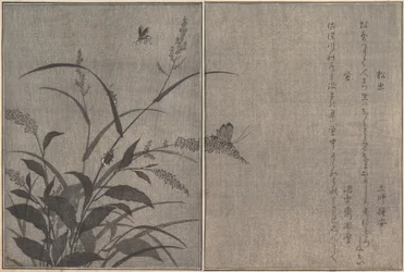 Tree Cricket Matsumushi, Firefly Hotaru