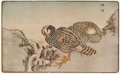 Pheasants, 1789