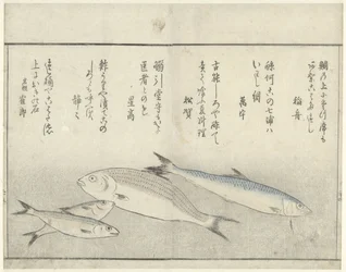 Four Fish