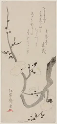 Plum Branch