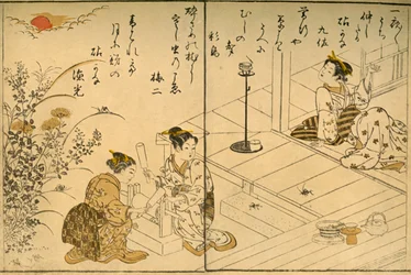 The Kinuta