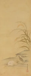 Quail and Millet, late 17th century