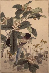 Blue tailed birds among the blossom from Bunrei Kacho Gafu, pub. 1885