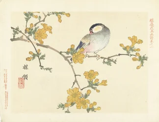 Songbird on a Blooming Branch (series title: Bairei