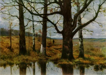 Autumn Landscape