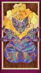 Colorful Sphynx Bloom