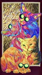 Groovy Goggle Cats