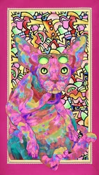 Psychedelic Sphynx Cat