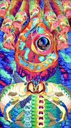 Vibrant Abstract Fish