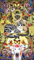 Whimsical Cat and Dog Friends