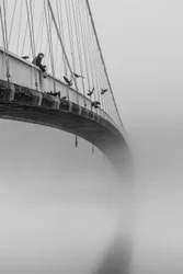Man on Misty Bridge