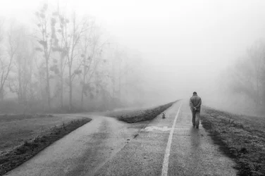 Misty Road Choices