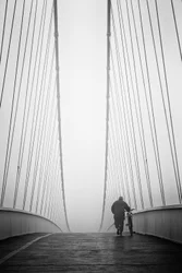 Solitary Walk on Bridge