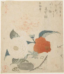 Plum Branch, a Peony Flower and a Metal Seal