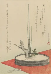 Arrangement of Plum, Fukujuso Adonis Flower, and Scissors