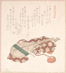 Biwa, Japanese Lute, with Cover