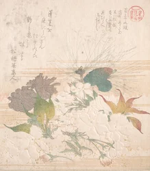 Cherry Blossoms and Pine Cones